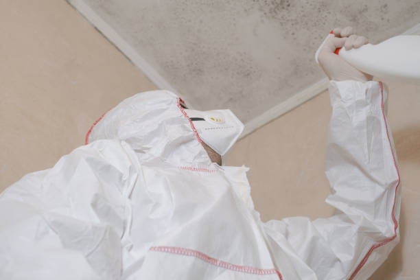 Best Kitchen Mold Remediation in Pickerington, OH